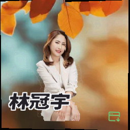 林冠宇